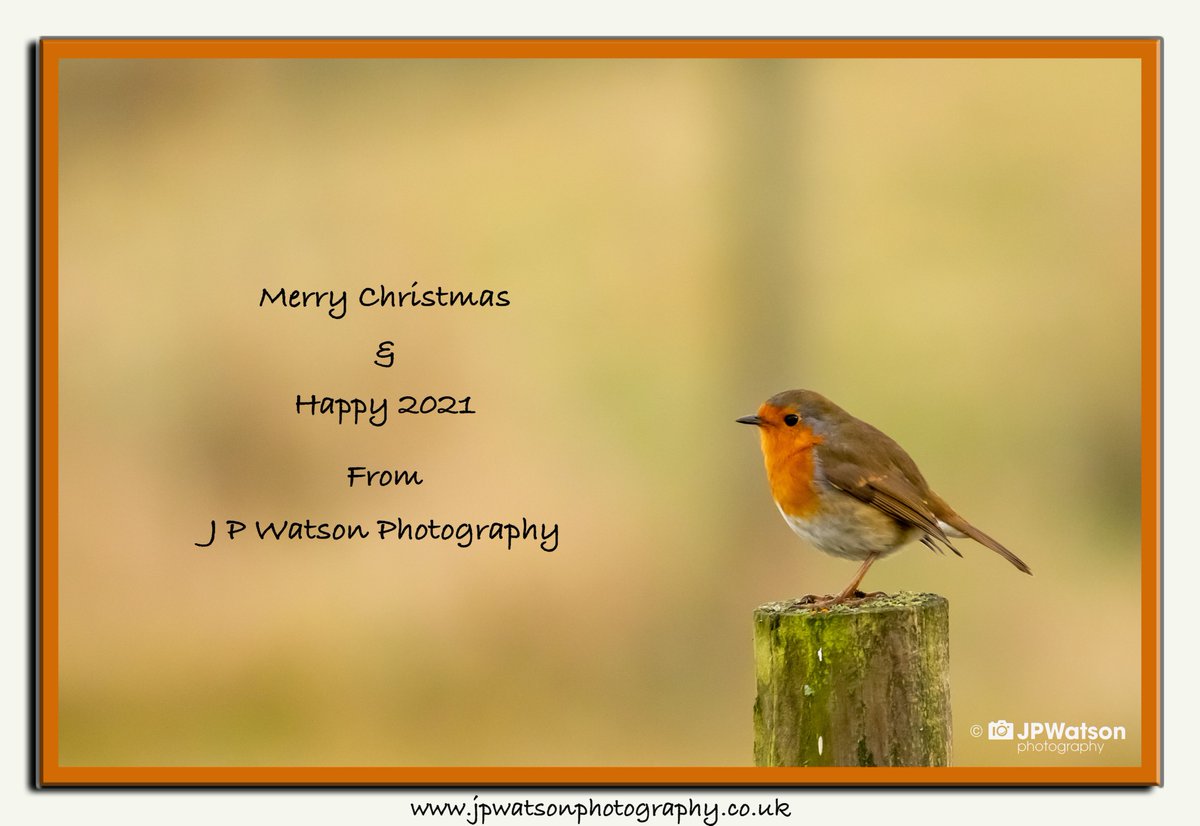 jpwatsonphoto's tweet photo. Merry Christmas everyone and stay Safe, Enjoy the Christmas Robin photographed Christmas day 2019 #christmas #photography #photooftheday #photo #picoftheday #pictureoftheday #pictures #robin #wildlifephotography #wildlife #nature #nature #naturelovers #naturelover #yorkshire https://t.co/LjhtSKXQ9H