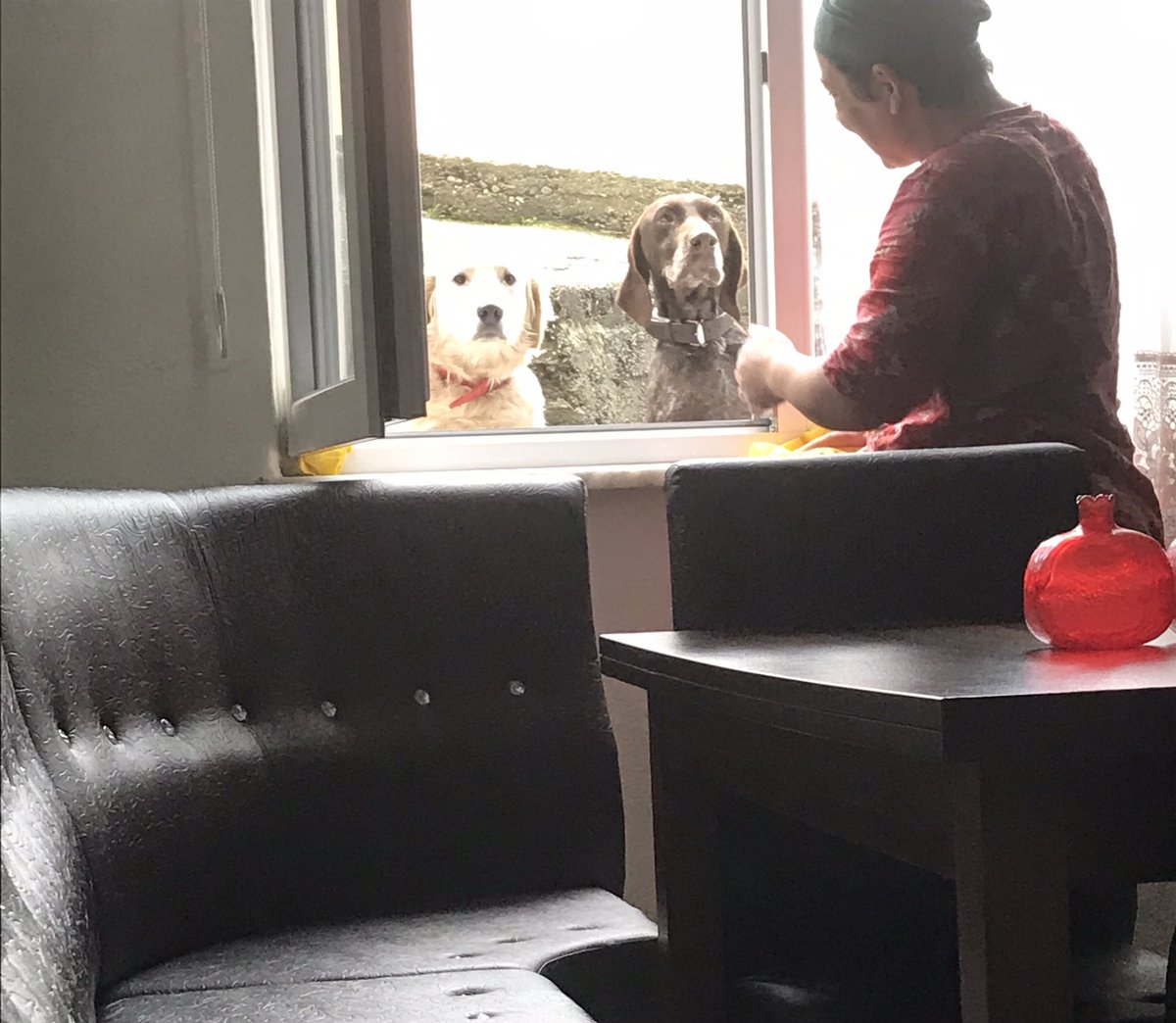 Gün ortası pozitifi