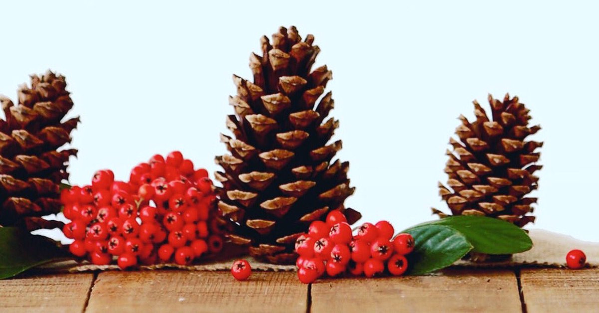 VideoPak's tweet image. We’d like to end this rather strange year by saying a huge Thank You to all our customers. You’ve taught, tested and trusted us.
And we can’t wait to enjoy new tech-in-print adventures with you all in 2021.
Wishing you all a safe Festive Season and a Healthy and Happy New Year.