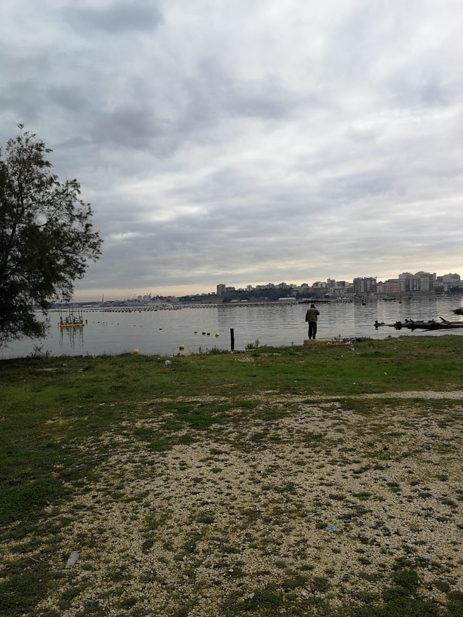 Life4MarPiccolo tweet media