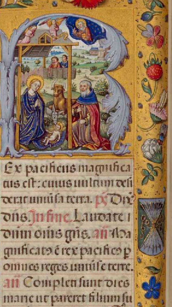 Aunque la situación que vivimos nos obligue a celebrar una noche más sencilla, que ésta esté cargada de gran dosis de simbología, como esta Natividad del:Breviario de Isabel la Católica. Siglo XV. @BurriezaMateos