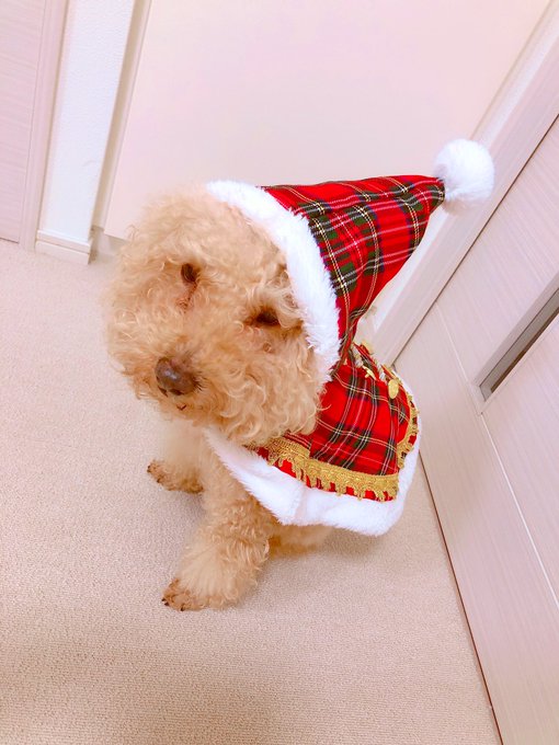 🤶 https://t.co/hgjfJe43KE