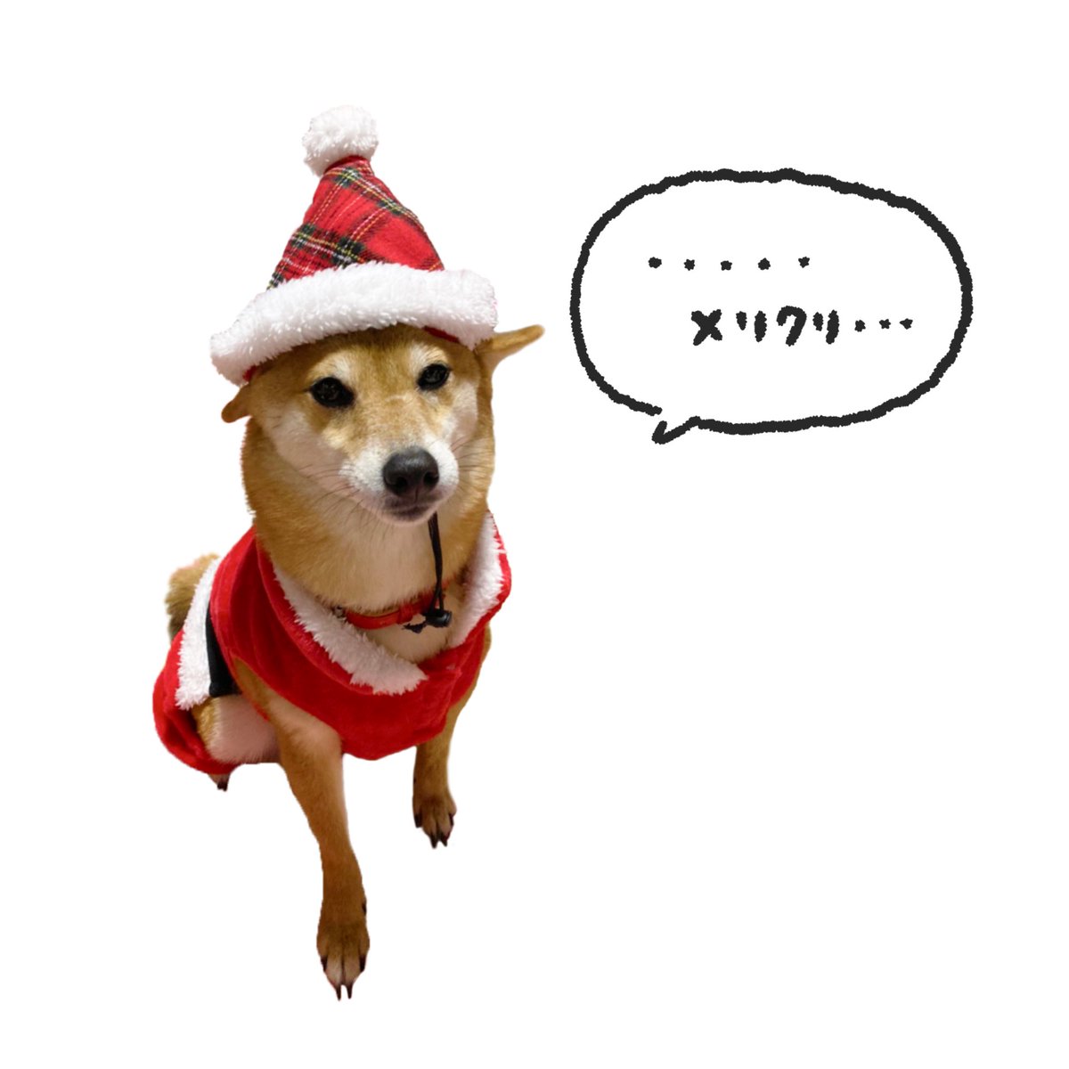 似顔絵イラストご依頼 おしゃれな後ろ姿 なんとこちらのお客様 柴犬を飼ってら Uca U Unframeuddの漫画