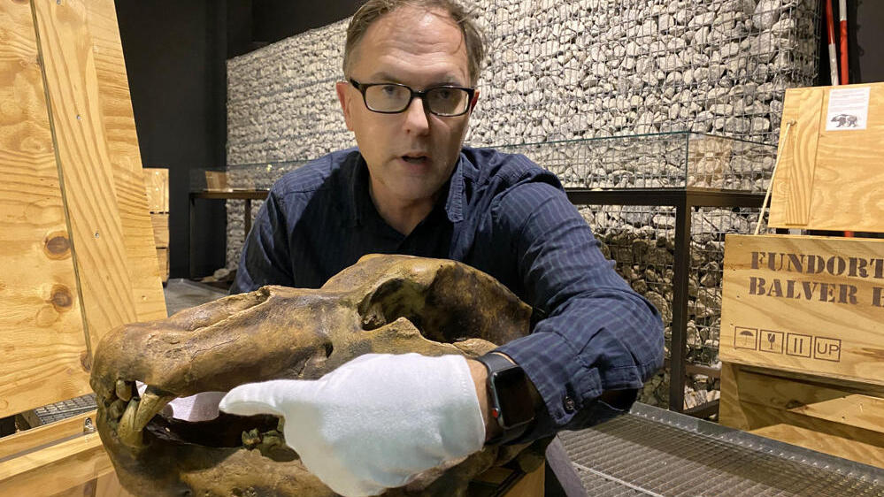 Digitale Museumsführung als Weihnachtsgeschenk: Das Museum für Archäologie des Landschaftsverbandes Westfalen-Lippe (LWL) in Herne bietet ab sofort »Pay-what-you-want«-Gutscheine für digitale Führungen an. Das Angebot eignet sich auch für… dlvr.it/RpGDGj #archäologie