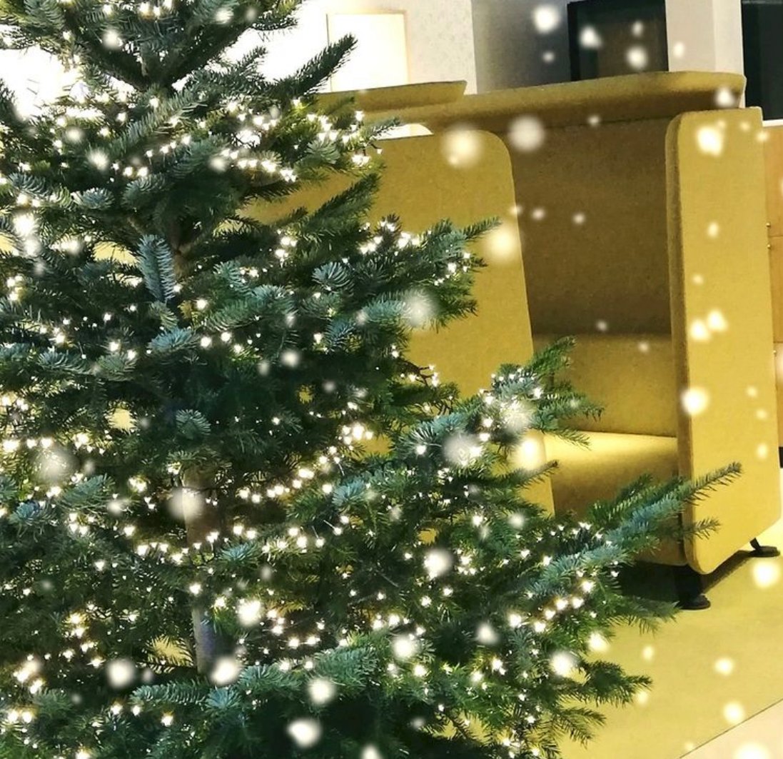 Prooff wishes you a Merry Christmas and a happy and healthy New Year!