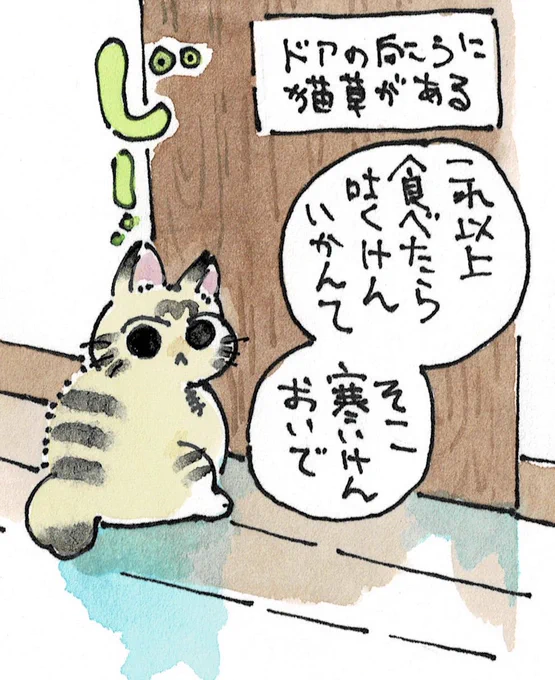 今日のしじみちゃん 