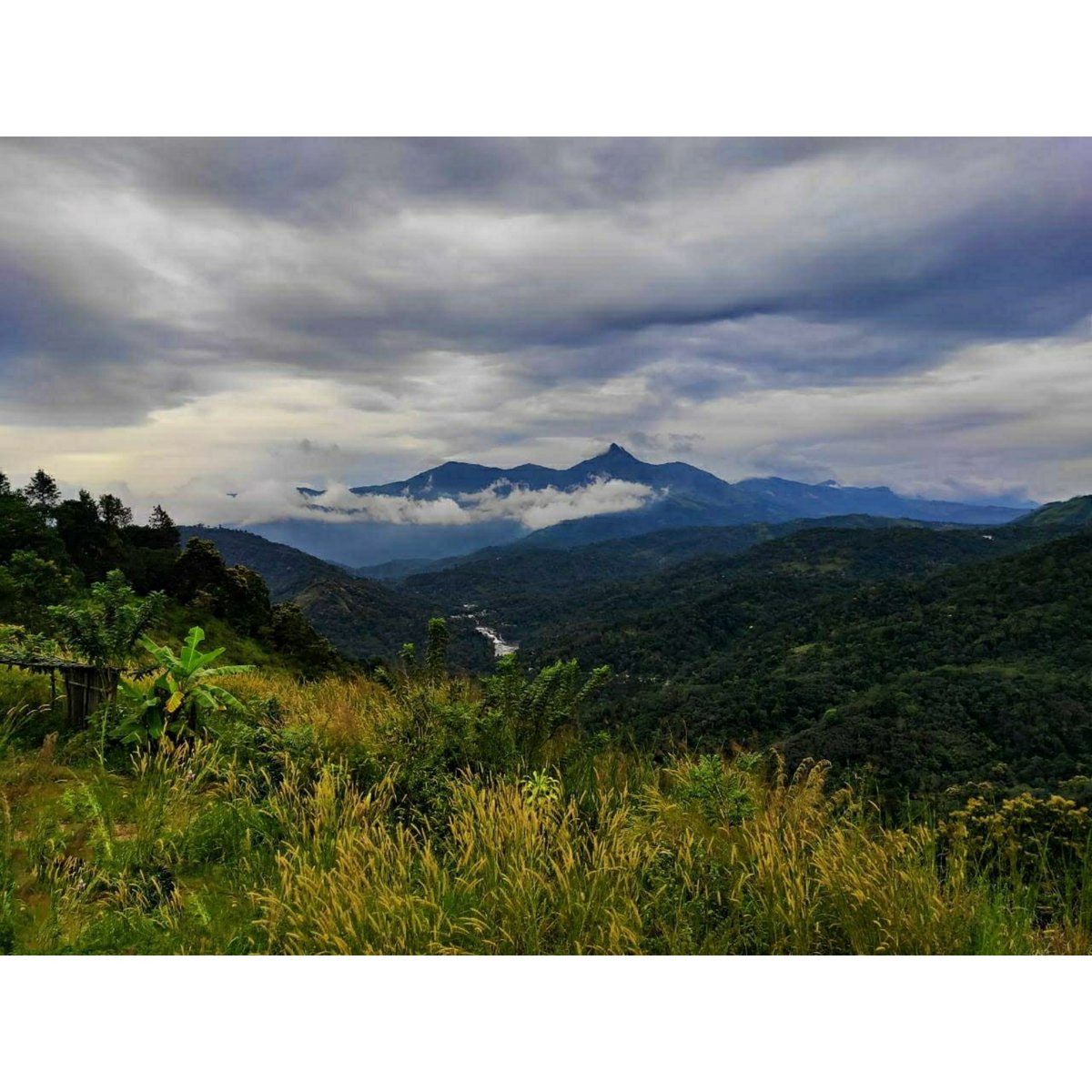 UWSLINDIA's tweet photo. As a global #lawcollege, we encourage holistic development of the students. We give them platforms to explore new ideas and pursue their passion.
First semester #BBA_LLB student Ishan Bhatt showcases his love for #photography with these wonderful photos. #UWSL https://t.co/HOVHsycBG0