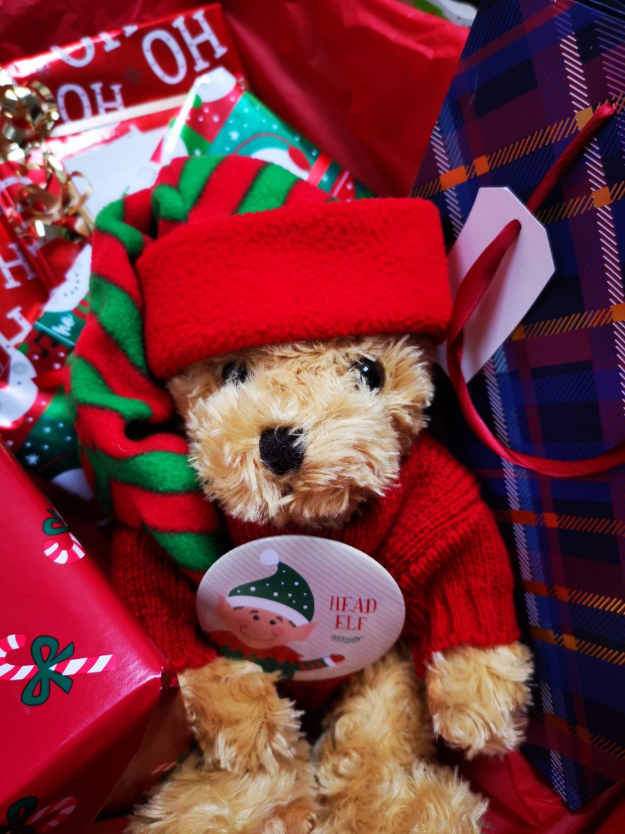 That's a 'wrap' from our Head Elf this year - have your elf a Merry little Christmas! 
#ElfOnTheShelf #Christmas #Xmas