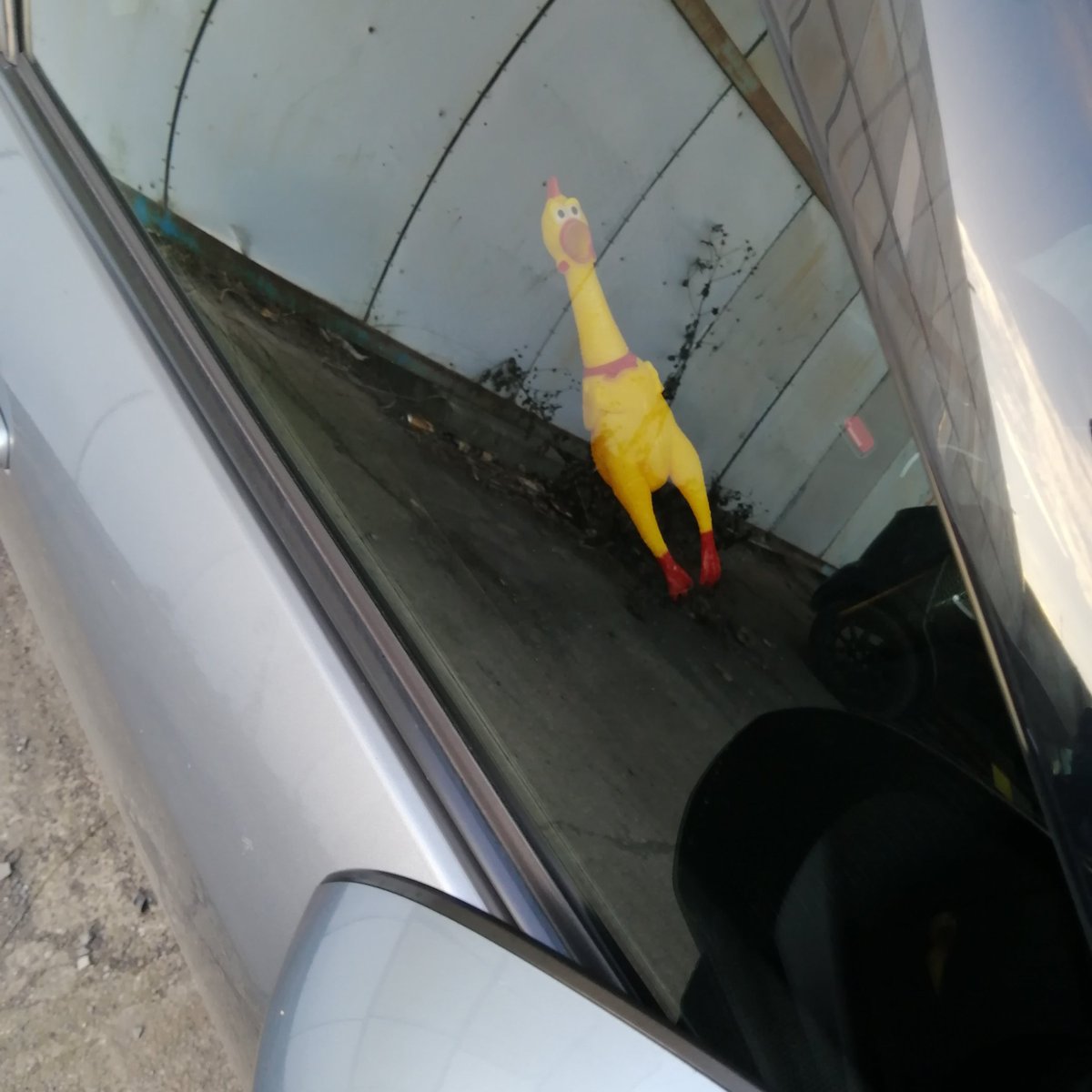 盗難警報装着車