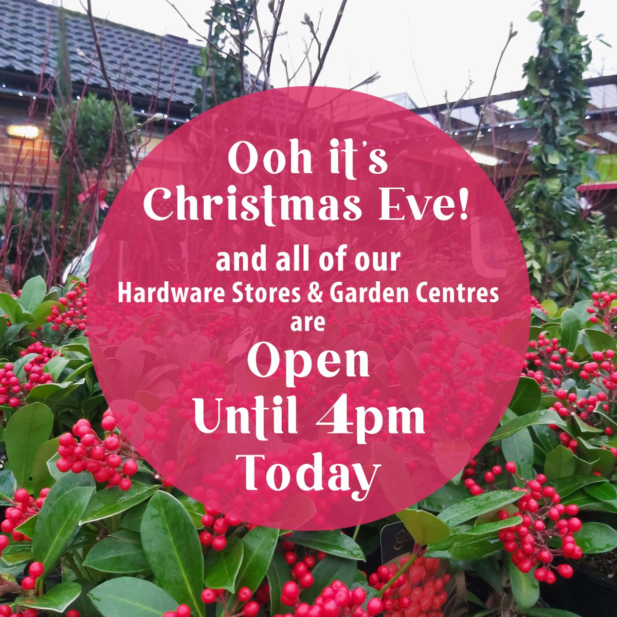 InExcessUK's tweet photo. Don't worry if you've still got those little bits to get today.....we've got you!👍😎

#inexcess #christmas #christmaseve #christmas2020 #open #christmasshopping  #gardencentre #diy #dorset #wiltshire #hampshire #merrychristmas https://t.co/P4gZAYDRye