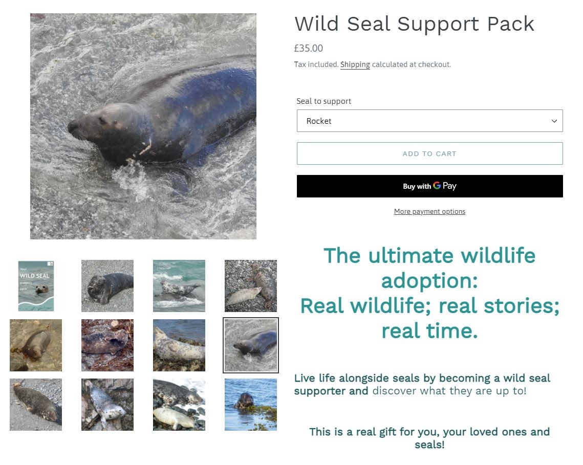 Need an URGENT PRESENT delivered TODAY?⁠ ⁠ Look no further than our Wild Seal Supporter Scheme.⁠ ⁠ 💛Click here sealresearchtrust.com/collections/wi… ⁠ 💚Pick your seal⁠ 💙Get the pack, certificate and update emailed to you to forward onto your family member or friend⁠ ⁠ Thank you!
