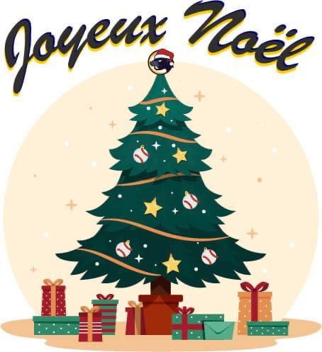 L’ensemble de la famille Marcassins vous souhaite d’excellentes fêtes de fin d’année !
🎄🎅