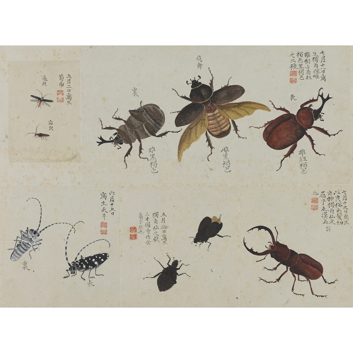 東京国立博物館 広報室 on X: 