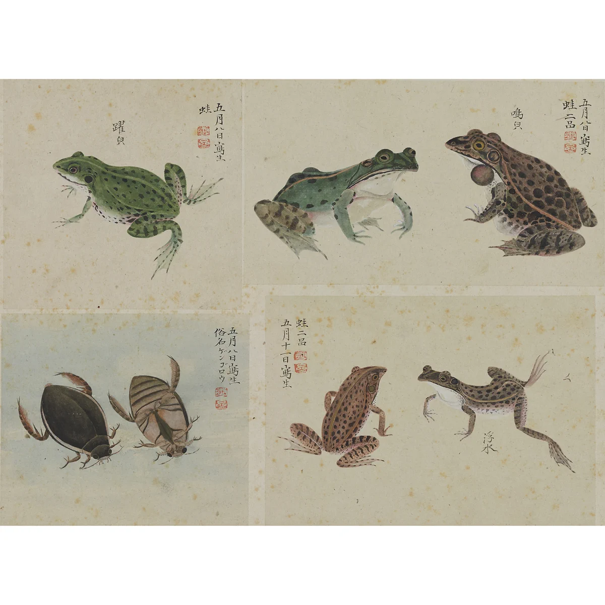 東京国立博物館 広報室 on X: 