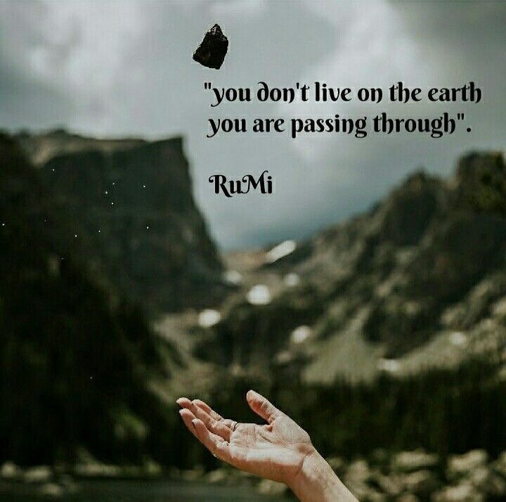 Skbeinghuman4's tweet photo. 🖤Rumi🖤 https://t.co/GSczjMkITa