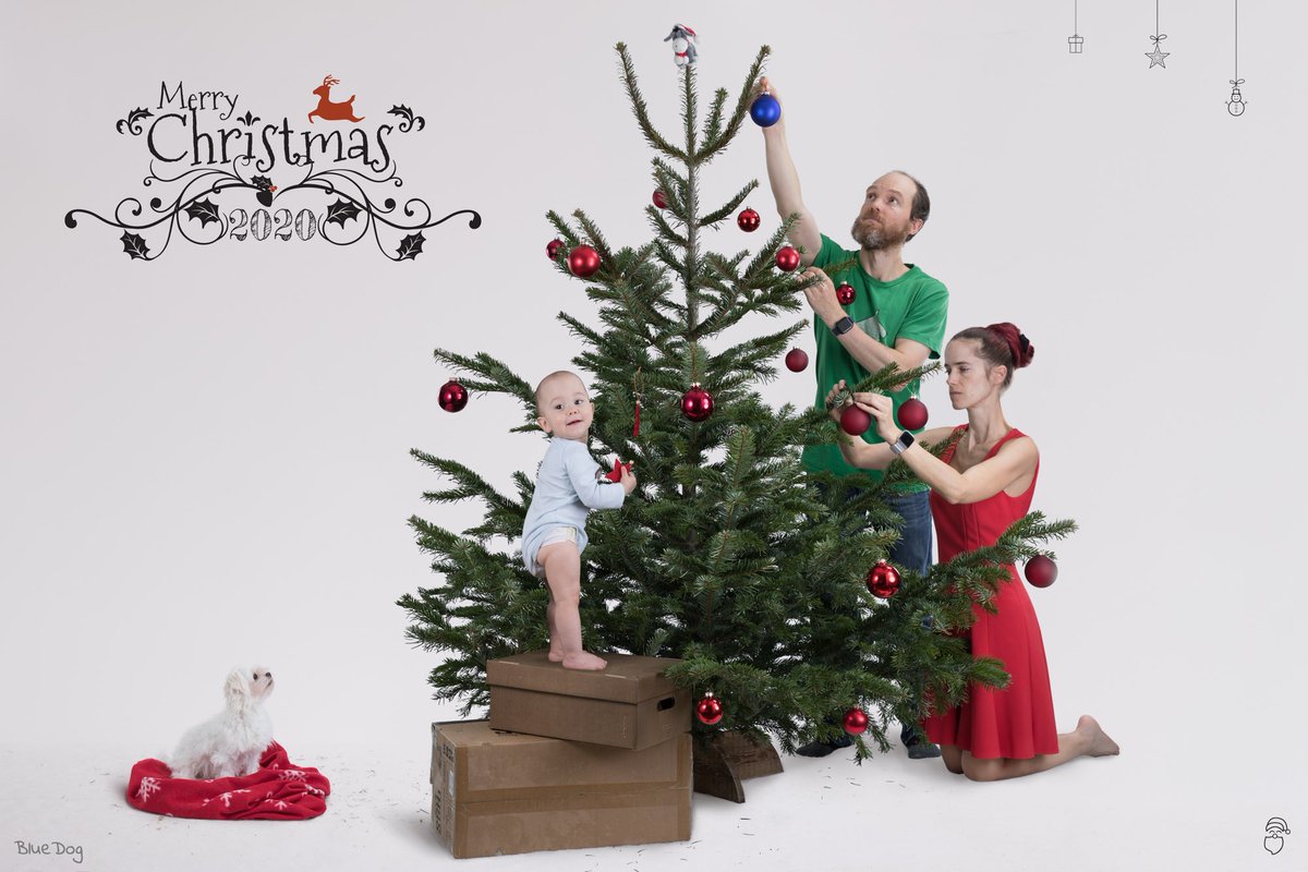 bluedog_at's tweet photo. Part 3 : “Don’t climb the Tree for Ornaments” https://t.co/8i8HNDXhoC