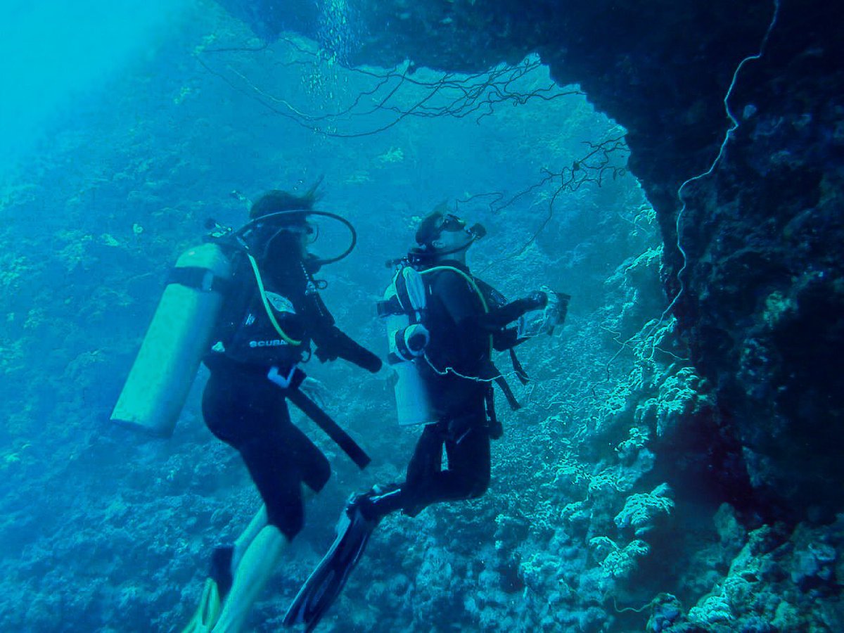 Raquel Peixoto tweet media