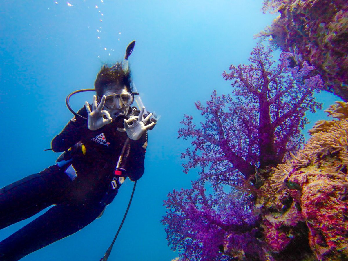 Raquel Peixoto tweet media