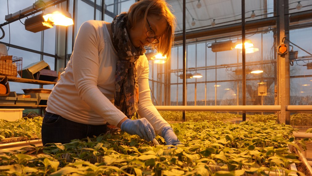 CNRGV's tweet photo. Day 24🎄
#MonAventPhoto
In 2020 we have sown seeds of innovative projects to improve the relevance and the quality of our services.
We look forward to see them grow and blossom soon!
Have a great holidays season and see you next year!🎆
#MerryChristmas2020 🎅🏼🎁🎄 https://t.co/gCNUK2Tcy2