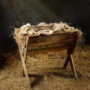 NBiggleswade's tweet photo. Even if no-one else could come it would still be the greatest Christmas ever
#Christmasisntcancelled https://t.co/zbK3R4kLfr