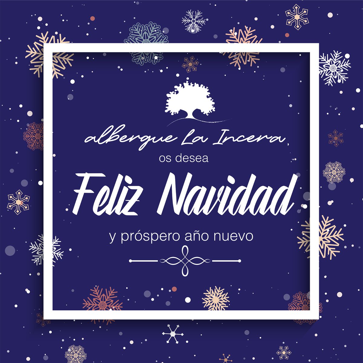 LaIncera's tweet photo. El albergue La Incera quiere desear a todos sus clientes y amigos unas felices fiestas y un próspero año nuevo. https://t.co/Eetz02DIom