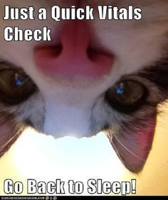 forgot2forget1's tweet photo. 24/24 Nurse Advert Calendar 
Nightshift nurses be like... https://t.co/GnVMTSVYJx