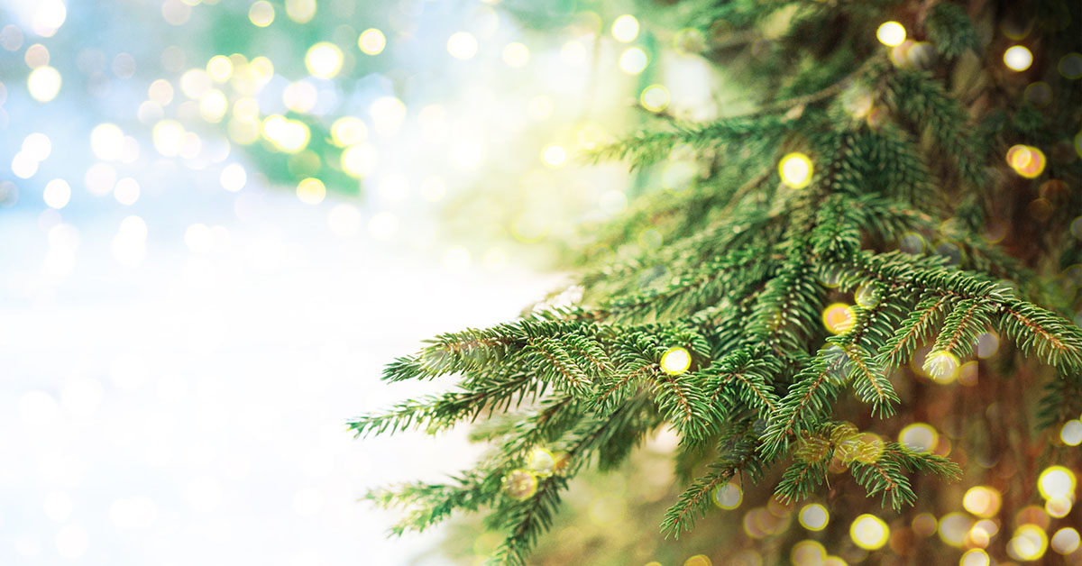 Tijdens de kerstvakantie (t/m 3 jan. 2021) zijn het magazijn en kantoor van Wouda Installatietechniek gesloten. Zoals u van ons gewend bent en van ons mag verwachten, kunt u  in het geval van een storing bellen met 0321 - 38 60 60.
Fijne feestdagen en een gelukkig en gezond 2021!