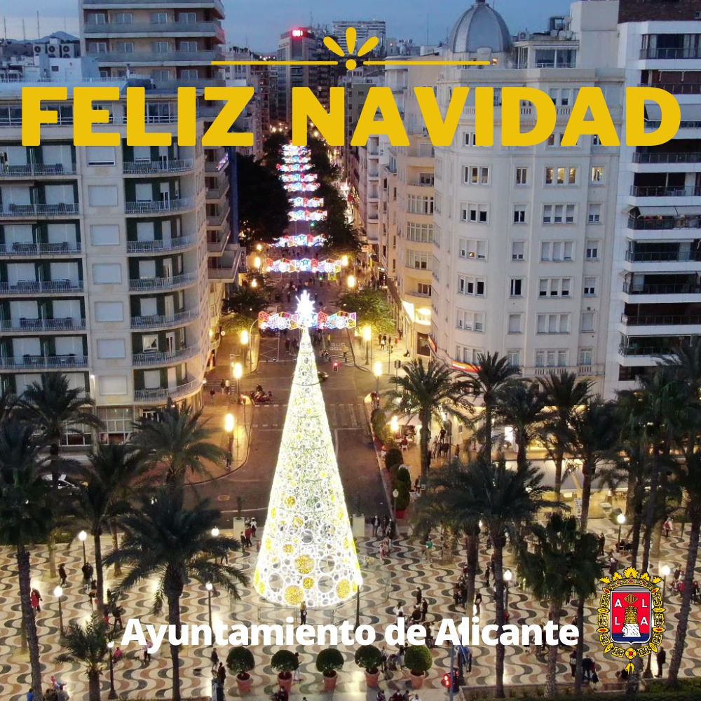 alicanteayto's tweet photo. 🎄✨ ¡El Ayuntamiento de #Alicante te desea una feliz #Navidad! https://t.co/dI06mUZK8j