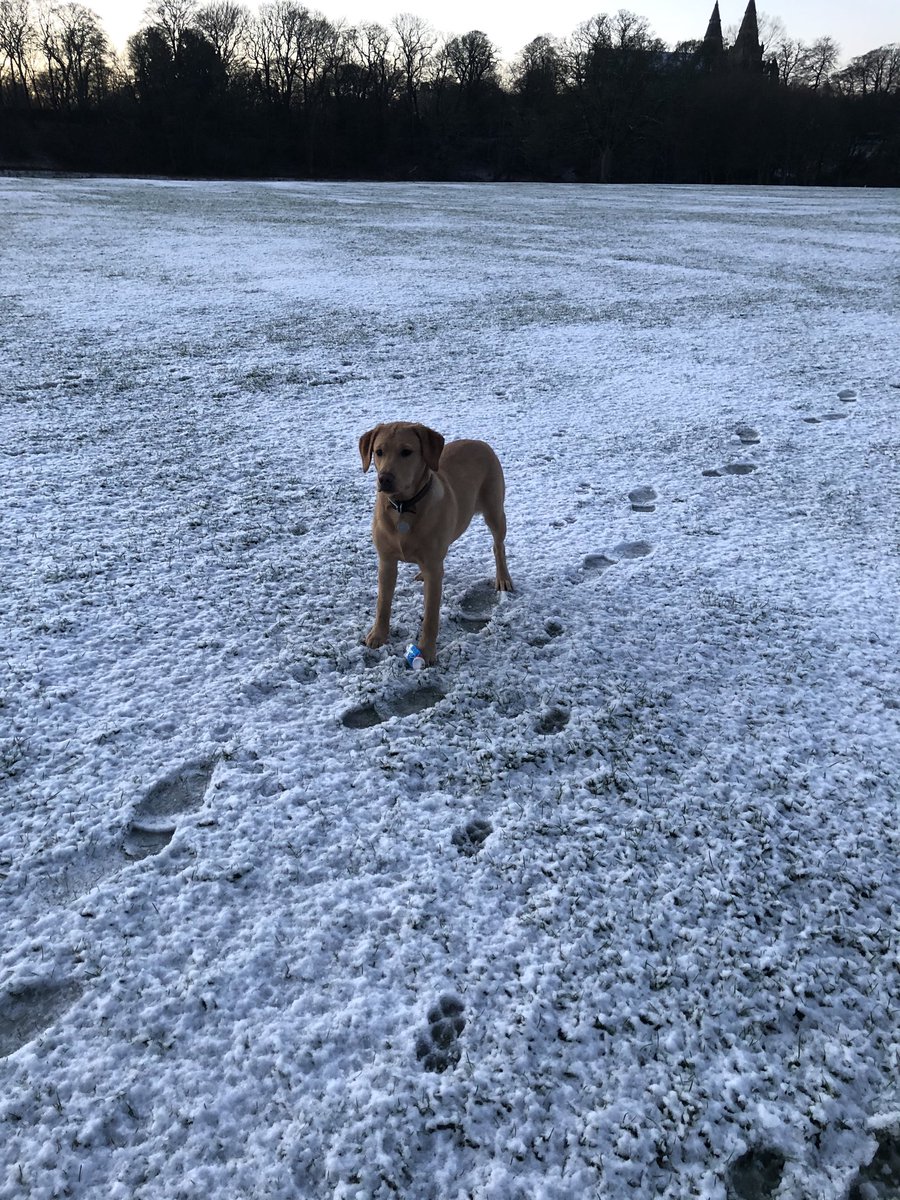 Goodness me humans. 
How do you cope?
A Brexit deal.
Santa on his way from North Pole.
And SNOW!!! 
All in the same day. 
I can’t handle this.

Breagha x