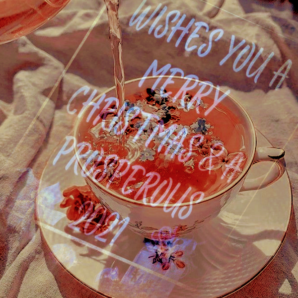 Merry Christmas and Happy New Year 2021
#MerryChristmasEve 
#MerryChristmas2020 
#happynewyear2021