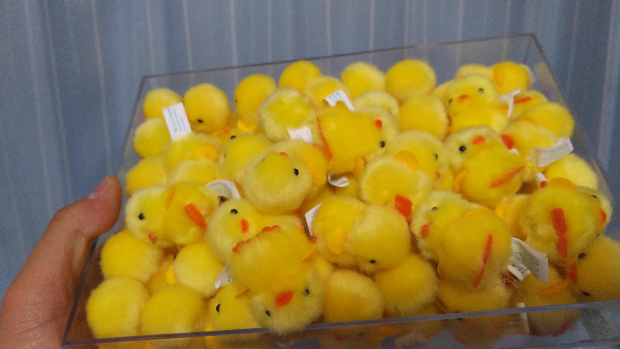 @nissin_hiyoko ひよこはフライドチキンには向かないよ。 