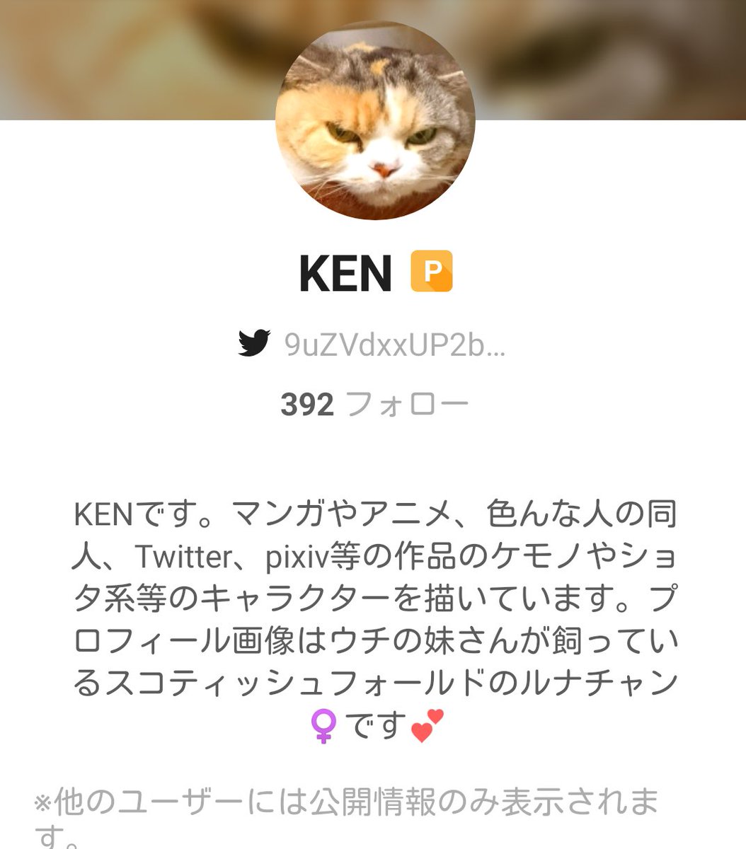 Ken 9uzvdxxup2bwnwt Twitter