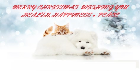 Tagiffany's tweet photo. Merry Christmas 
From All At Tagiffany
❤️ https://t.co/4LimLBmvYI