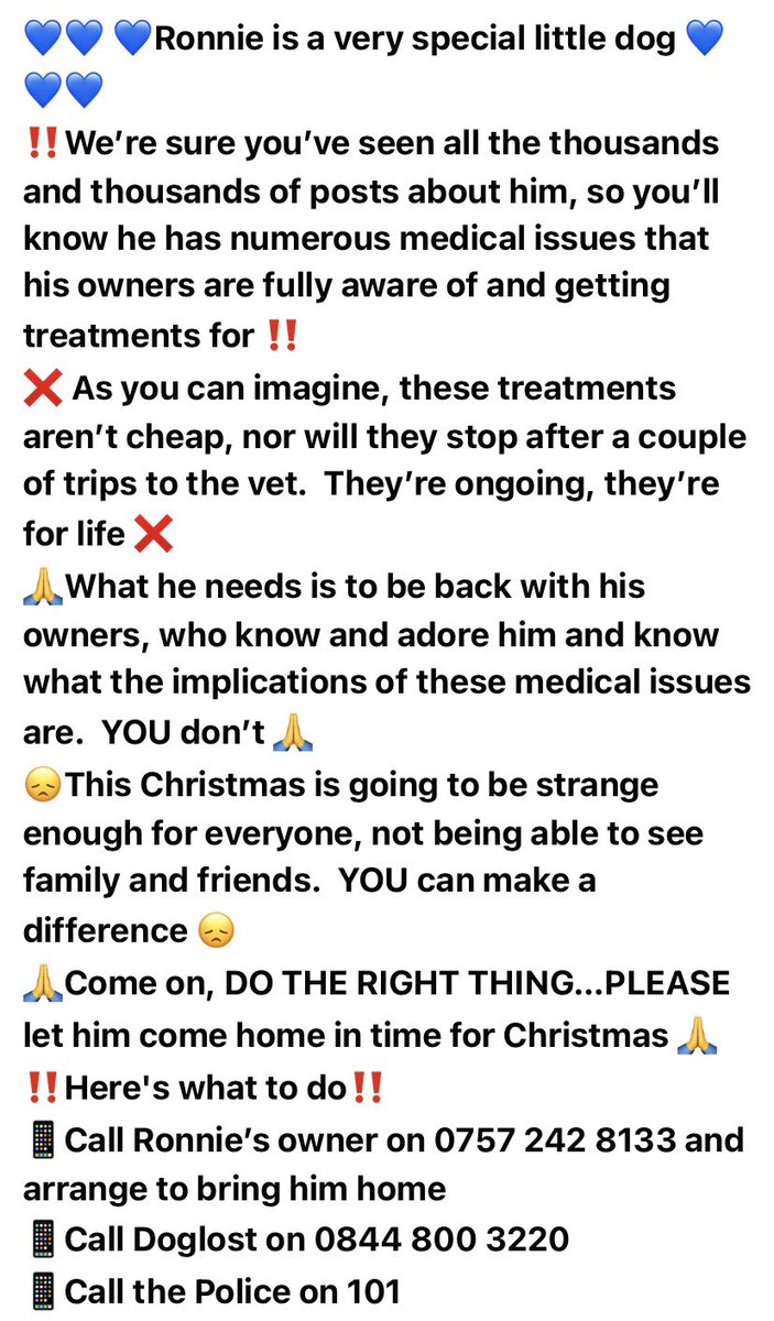 BRING RONNIE HOME FOR XMAS @babybulldog_ronnie Ronnie is 20wk old English bulldog with health conditions he was stolen on Sat from under my nose out of the garden. SOS he needs his veterinary appointments.He needs his family  <a href="/JasonManford/">Jason Manford</a> <a href="/BBCCWR/">BBC Coventry & Warwickshire</a> @bronmills <a href="/BBCCWR/">BBC Coventry & Warwickshire</a> <a href="/flupton/">Phil Upton</a>