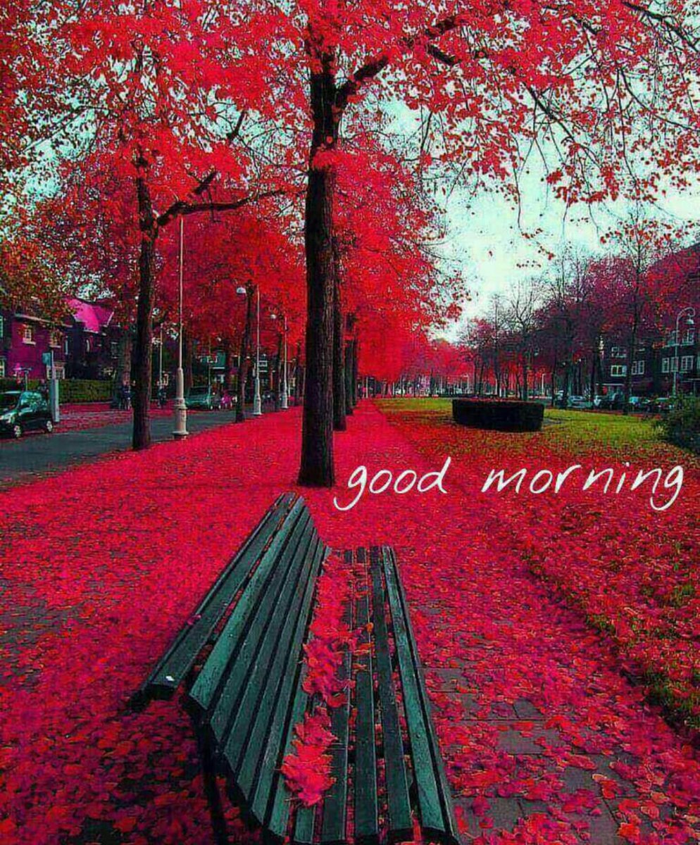 rahul diwakar (@rahuldi80430137) on Twitter photo 