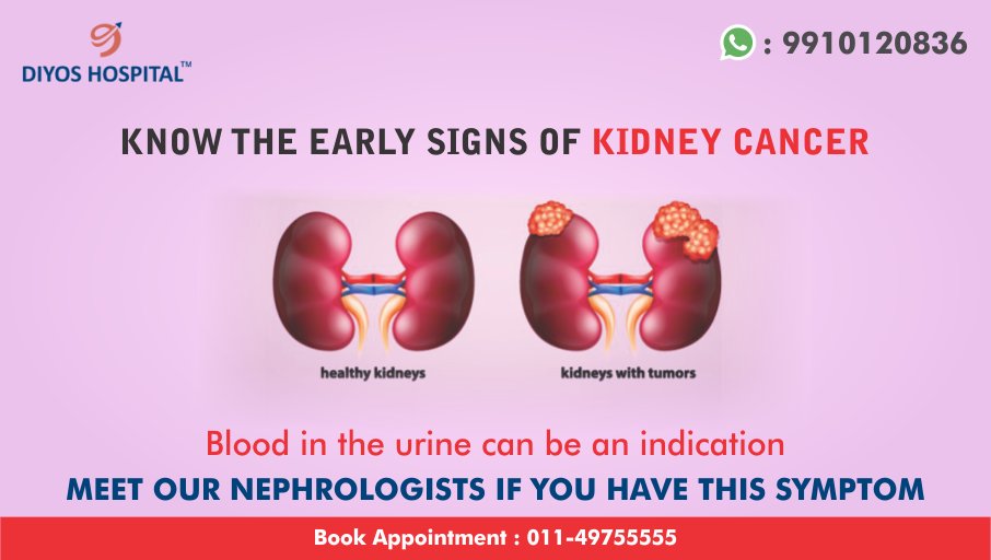 Diyos_health's tweet photo. Do you see Blood in the urine, unexplained lower back pain, constant fatigue, loss of appetite and non-infectious and persistent fever ? If yes, it’s time to consult doctor immediately. Early detection can increase the chances of successful treatment outcomes.
#kindneyCancer https://t.co/J4Rv1VJhWF