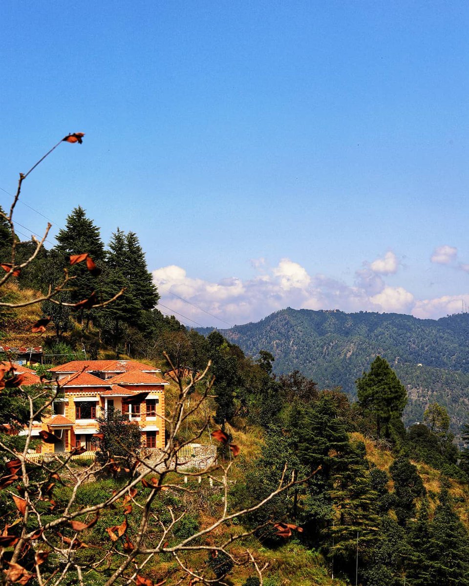 adotripofficial's tweet photo. Mukteshwar is a little hamlet situated in the lap of Kumaon hills, relatively less crowded.⁣ Chauli ka Jali is one of the famous attractions with a breathtaking view of the Himalayas.⁣⁣⁣ 

⚡ Follow us @adotripofficial 

#adotrip #mukteshwar #mukteshwardiaries #uttarakhand https://t.co/nQ3IBT33LR