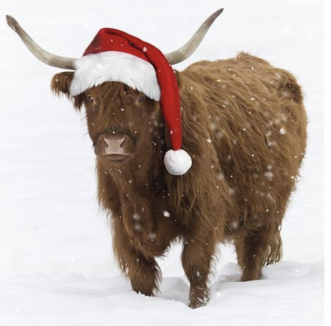 Grass Science Seeds Biogas tweet media