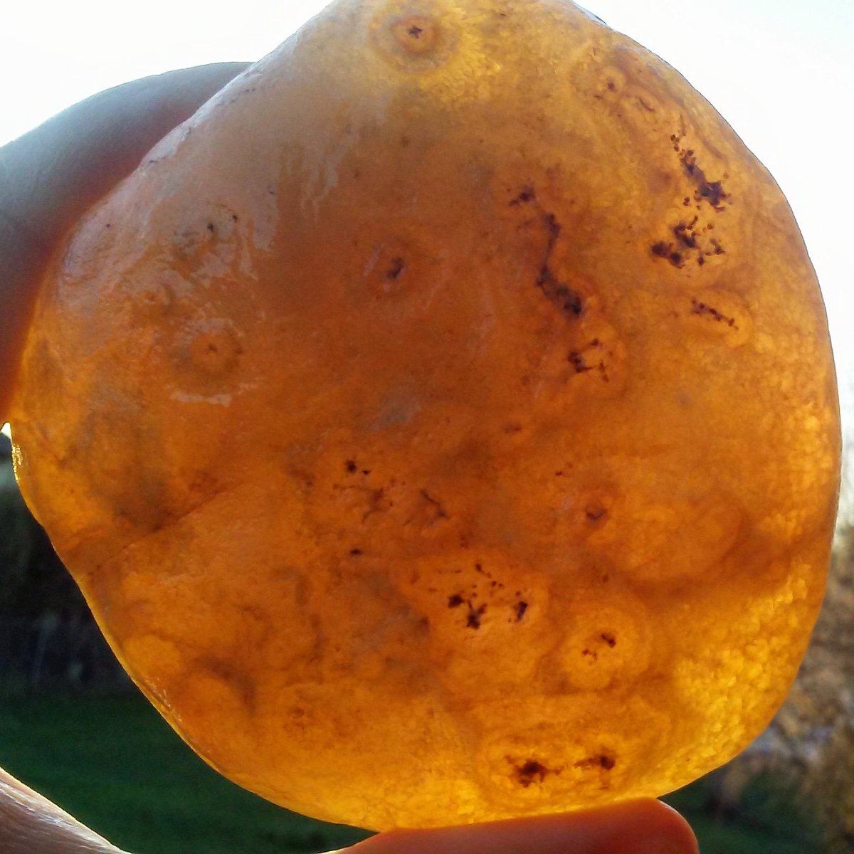wezytree's tweet photo. Urban Rockhounding. Huge Eye Agate. Willamette River. Portland Oregon #agate #rockhounding #urbanadventures https://t.co/c1RITAvMmF