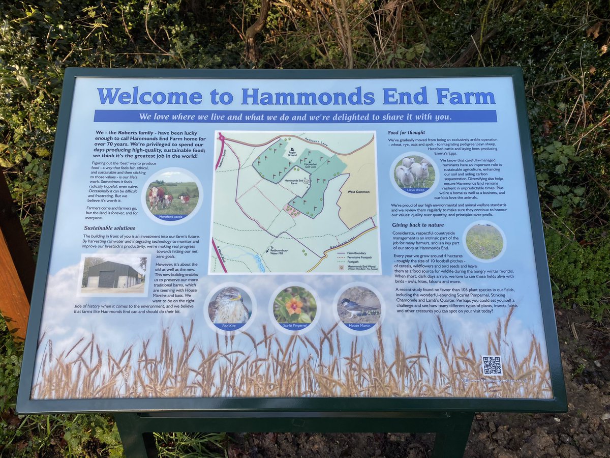 Stuart Roberts 🔸 tweet media