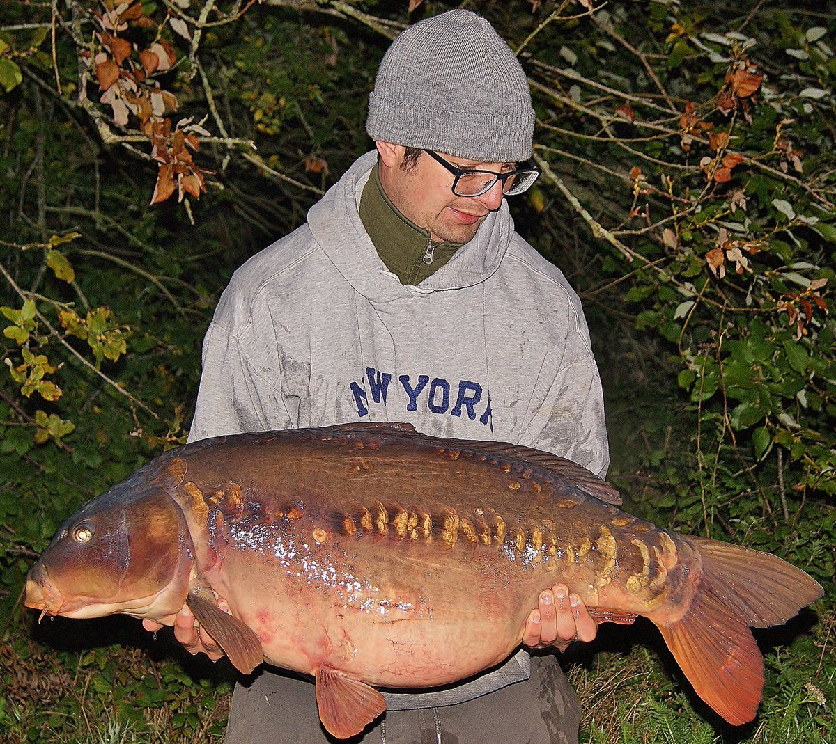 CarlMilton10's tweet photo. My favourite carp of 2020. Happy Christmas and a happy new year. 2021 I’m going to be documenting my quest for a some special fish. Check out the trailer on Carl Milton Carp angler on You Tube. @KordaOfficial @steamiesboilies #effortequalsrewards https://t.co/b77T0fgR0I