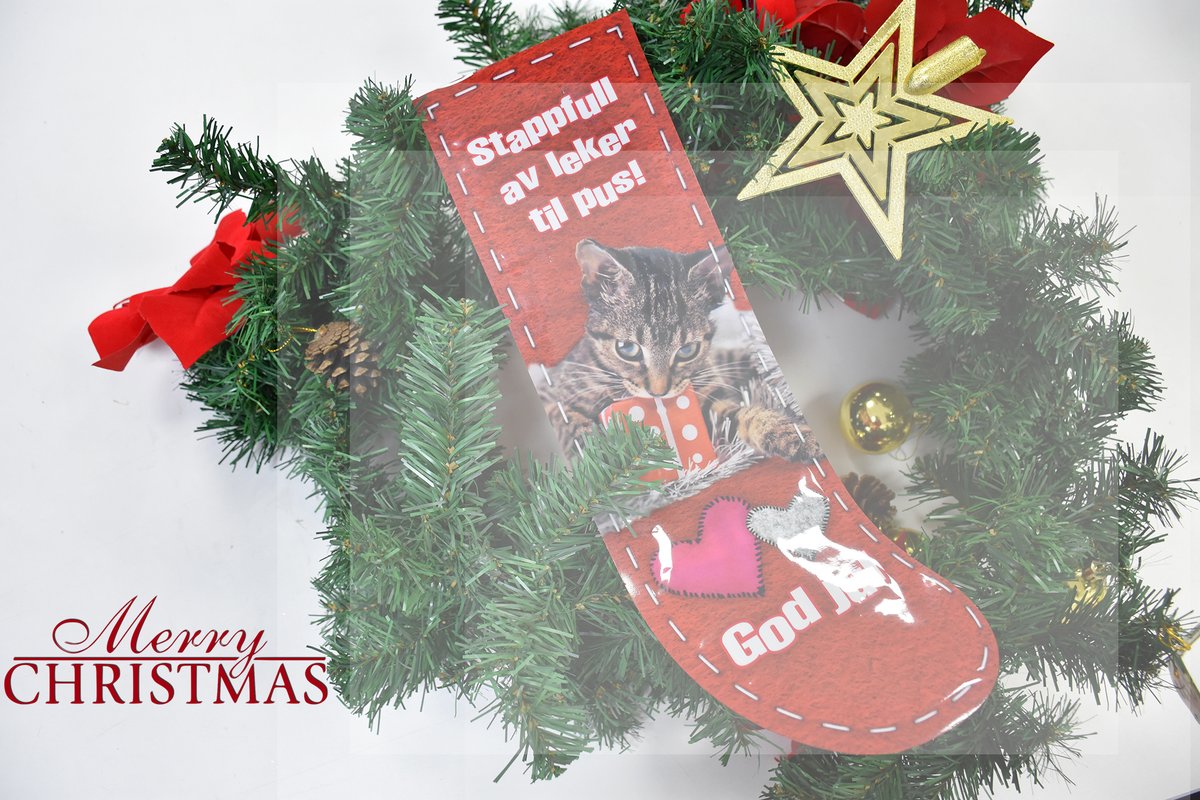 AustraliaBio's tweet image. We wish you a happy Christmas Eve! 🎅🎄
#Christmas #ChristmasEveEve #christmasgreetings #ChristmasGift #packaging #packagingdesign #packagingsolution #packagingidea