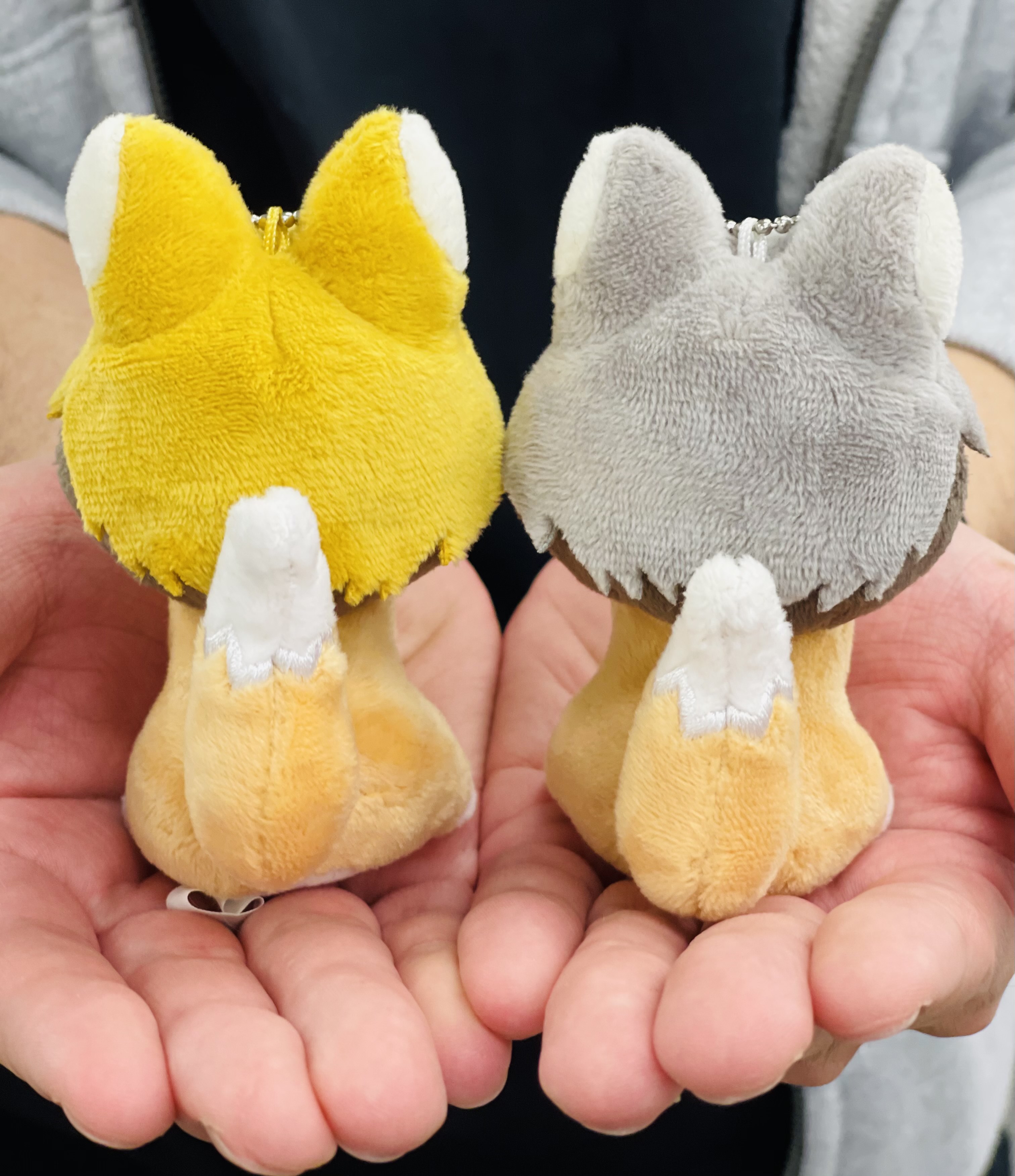 侑キツネ＆治キツネ ぬいぐるみマスコットチャーム2個セット アニメ「ハイキュー!!」 on X: 