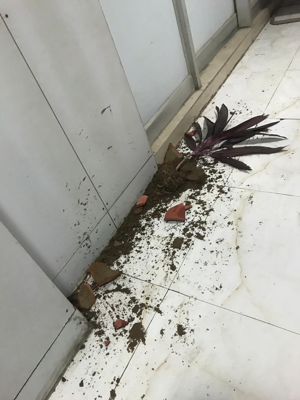 Delhi Jal Board Vice-Chairman Raghav Chaddha's office was allegedly attacked and vandalised by BJP workers for supporting farmers' protest.