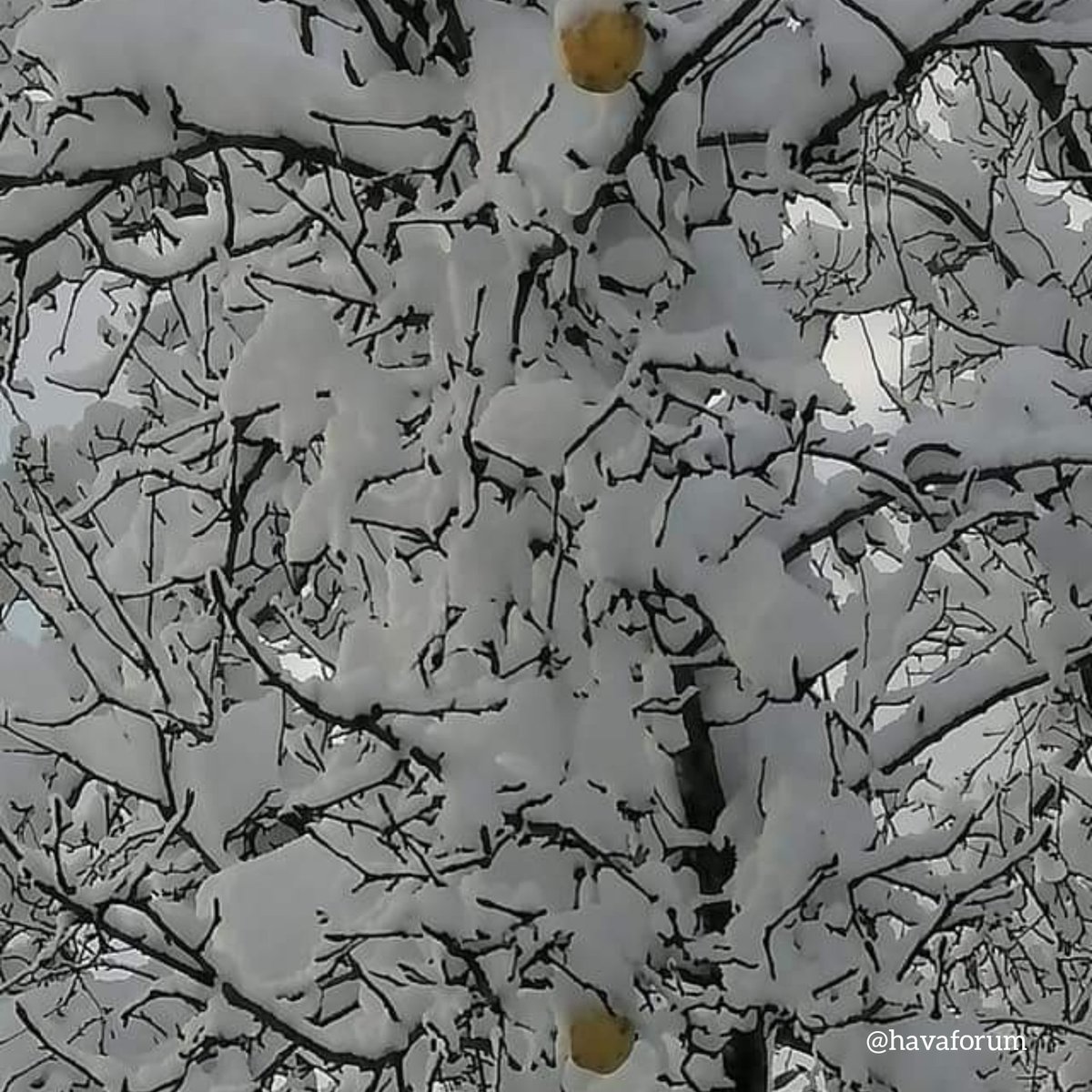 HavaForum's tweet photo. Giresun'da bugün... ❤❄😊 https://t.co/wgtYE2FCU4