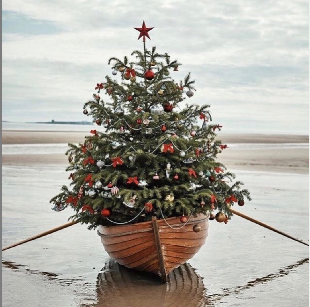 Cream Cornwall tweet media