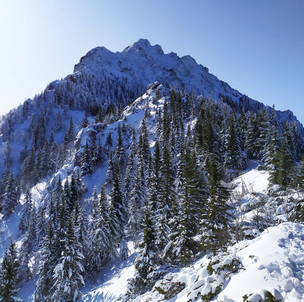 GORSKI_SWIAT's tweet photo. #Góry #Tatry #beautifultatras #tatryofficjal #małafatra #szczty #doliny #natura 
zanim cosik z życzeniami, to zobaczmy co w #TATRACH przed Świętami...

fot. V. Belicak, V. Rodina , V. Lolasikova i D. Slamkova https://t.co/PwVfxM7VZ8