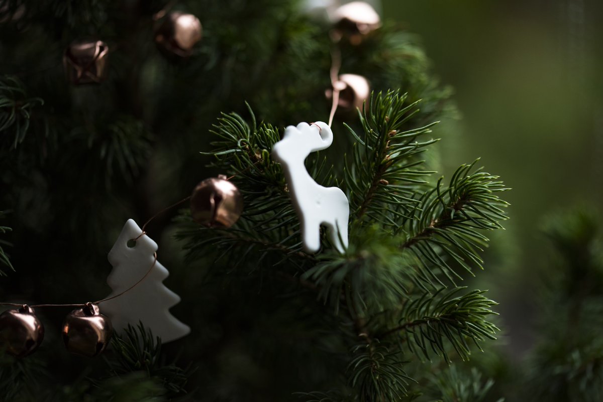 pilopoil_diff's tweet photo. Bon réveillon à tous! On met ses inquiétudes de côté, le temps d'un bon moment...🎅 🎁 🎉 🥂
#fetes et #covid #actu2020
https://t.co/Sh7PileF4c https://t.co/QUz9Hedl7I