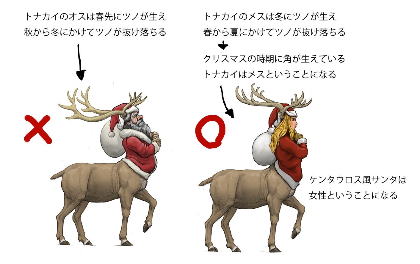 Twitter पर 川崎悟司 先のツイートのリプで性別は と聞かれて サンタのトナカイはメスであったことに気付いた オスは春にツノが生え 冬にツノが抜け落ちてて メスは秋からツノが生え 春ごろにツノが抜け落ちる クリスマスの時期にツノのあるトナカイはメスという