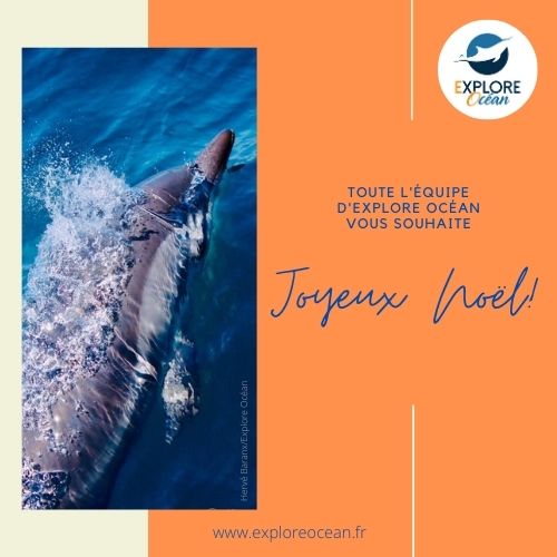 Explore_Ocean's tweet image. 🎉 Explore Océan et l'équipage d'Atalaya vous souhaitent un Joyeux Noël !
exploreocean.fr